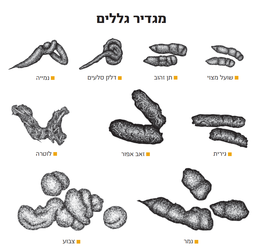 Screenshot 2021 04 15 152130 min 1