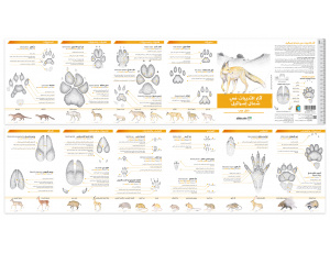 animaltracksguide_2021__