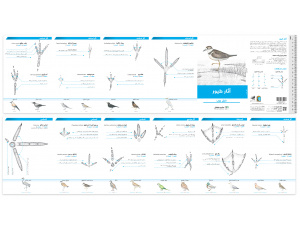 animaltracksguide_birds_2021__