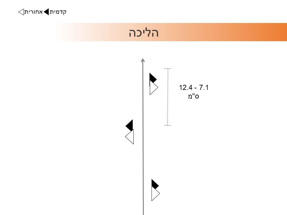 דגמי תנועה קיפוד מדבר