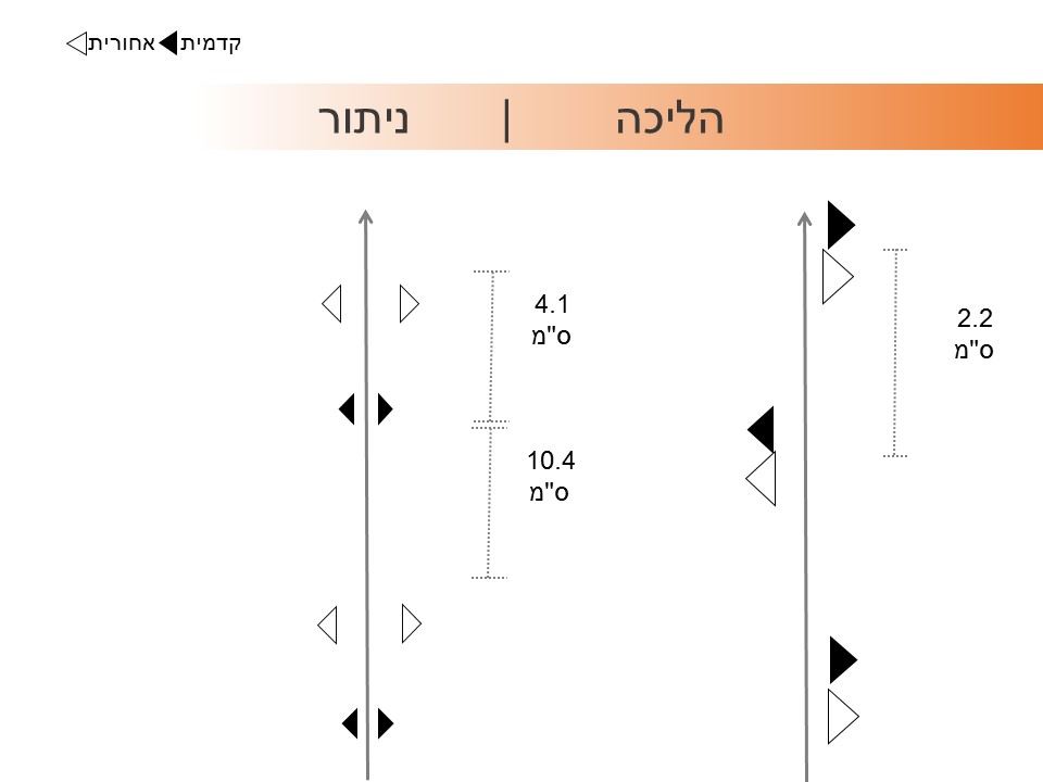 דגמי תנועה קוצן