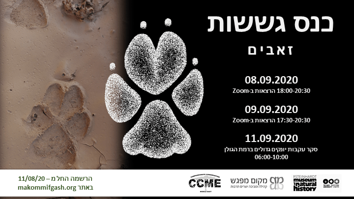 כנס גששות 4 זאבים min